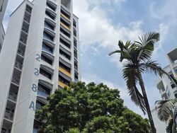 Blk 228A Compassvale Court (Sengkang), HDB 5 Rooms #543570291